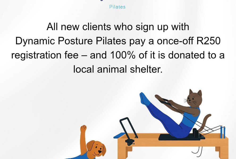 Animal Shelter Donation Drives
