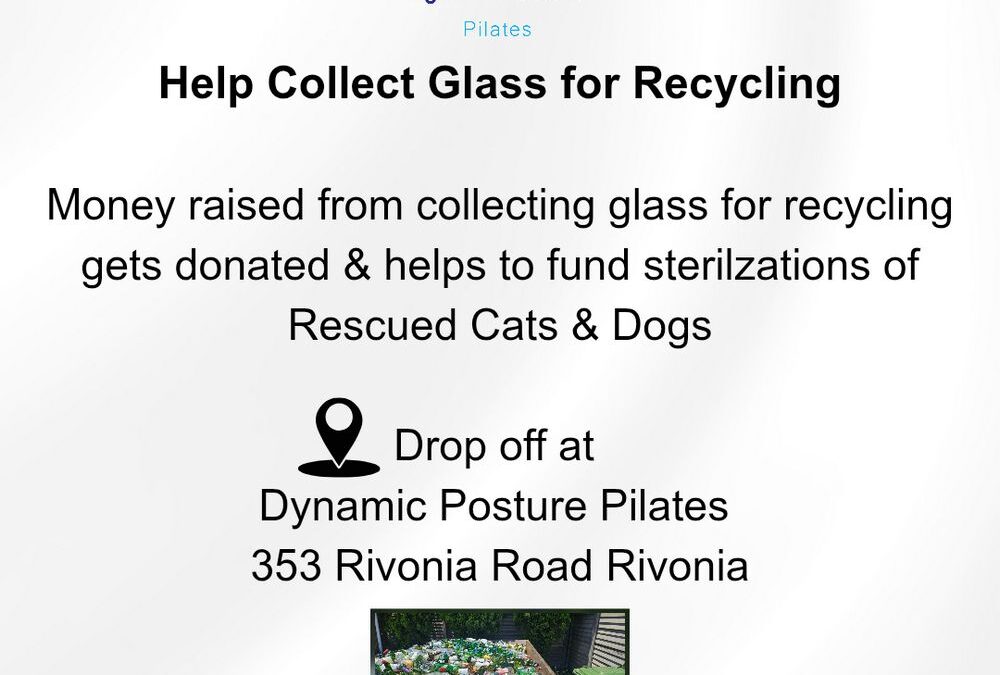 Sterilization Project for Cats and Dogs
