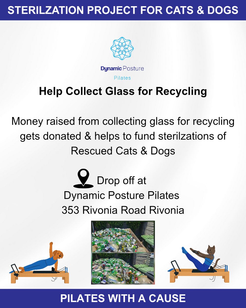Sterilization Project for Cats and Dogs